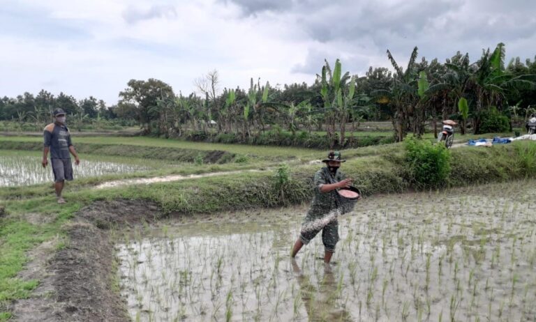 WhatsApp Image 2021-03-04 at 09.04.11