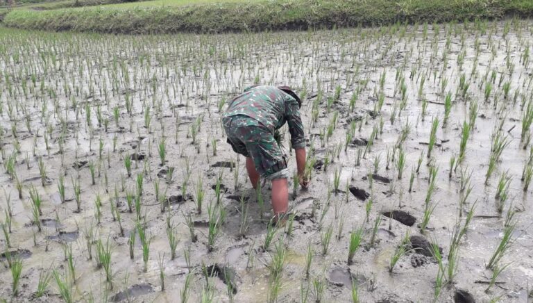 WhatsApp Image 2021-03-04 at 09.04.41