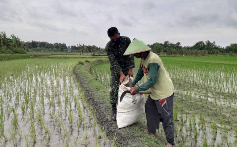 WhatsApp Image 2021-03-04 at 09.05.07