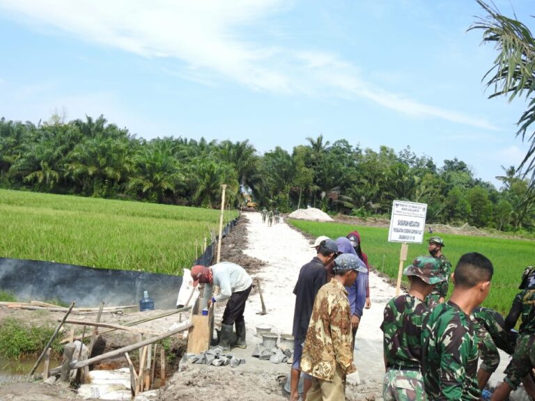 WhatsApp Image 2021-03-04 at 22.52.43