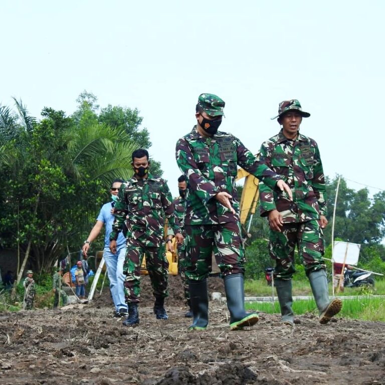 WhatsApp Image 2021-03-04 at 22.55.33