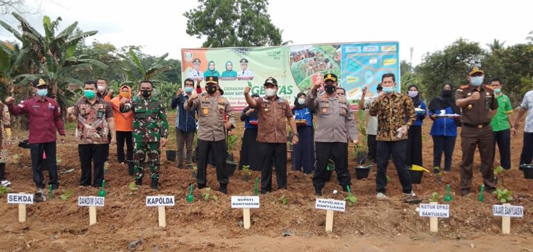 WhatsApp Image 2021-03-05 at 05.12.22