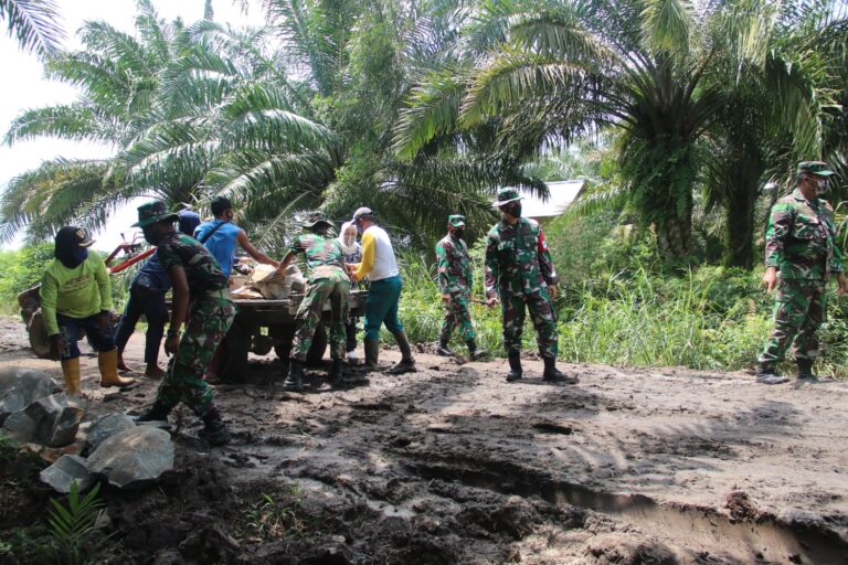 WhatsApp Image 2021-03-05 at 06.55.16