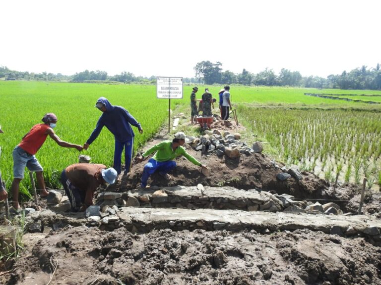 WhatsApp Image 2021-03-05 at 07.17.03