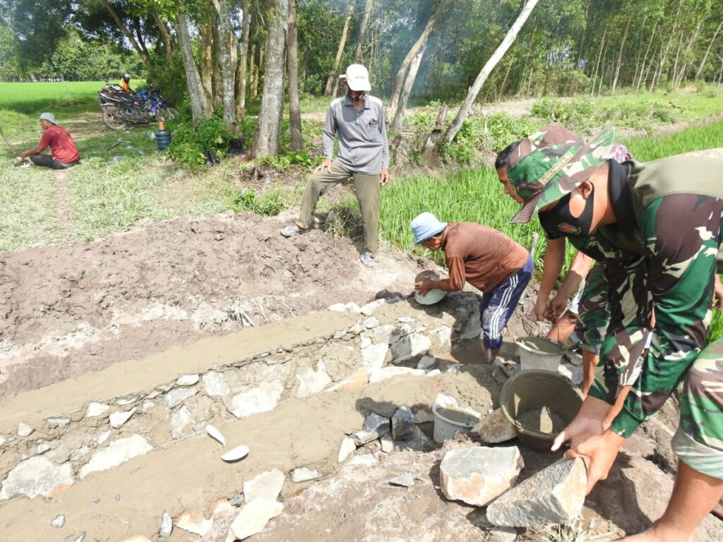 WhatsApp Image 2021-03-05 at 07.17.54