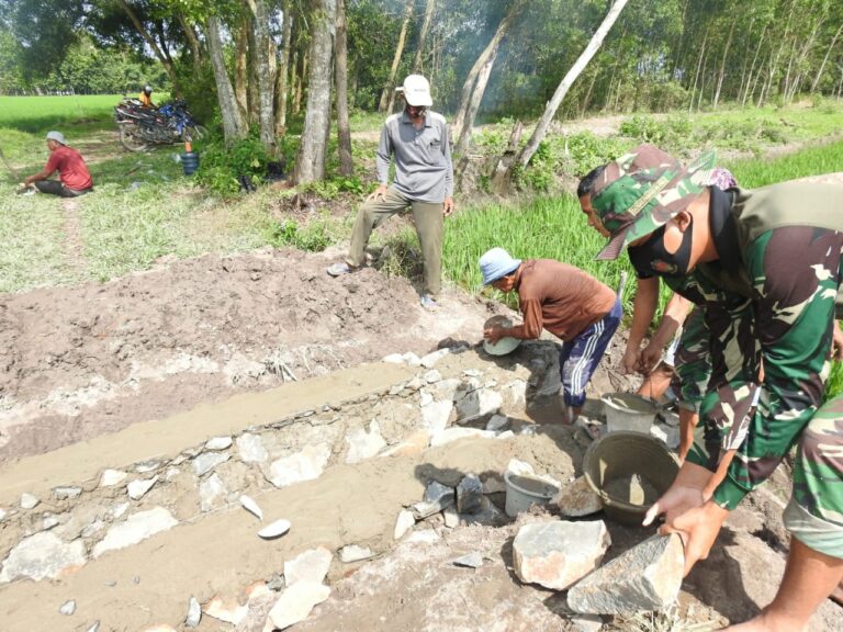 WhatsApp Image 2021-03-05 at 07.17.54