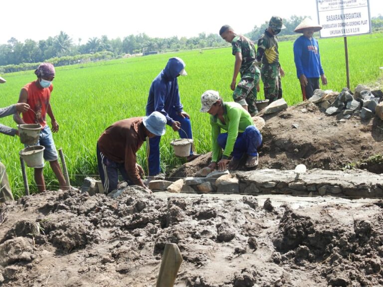 WhatsApp Image 2021-03-05 at 07.20.46