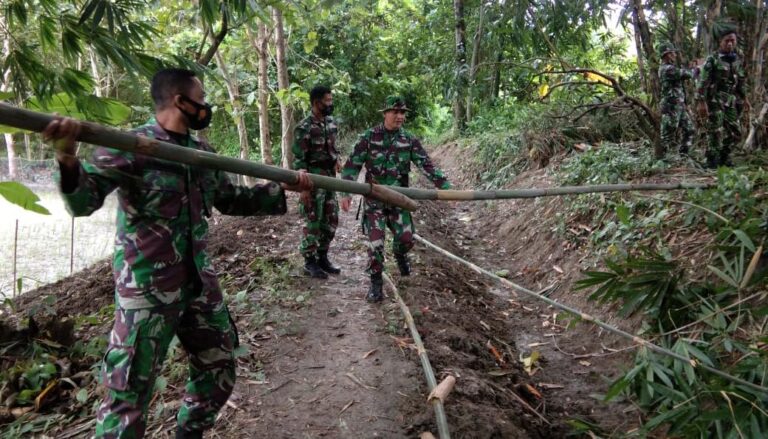 WhatsApp Image 2021-03-05 at 08.47.49