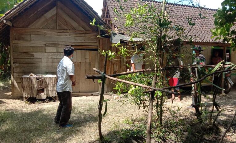 WhatsApp Image 2021-03-05 at 08.50.03