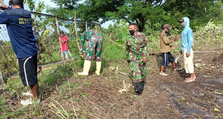 WhatsApp Image 2021-03-05 at 08.50.51