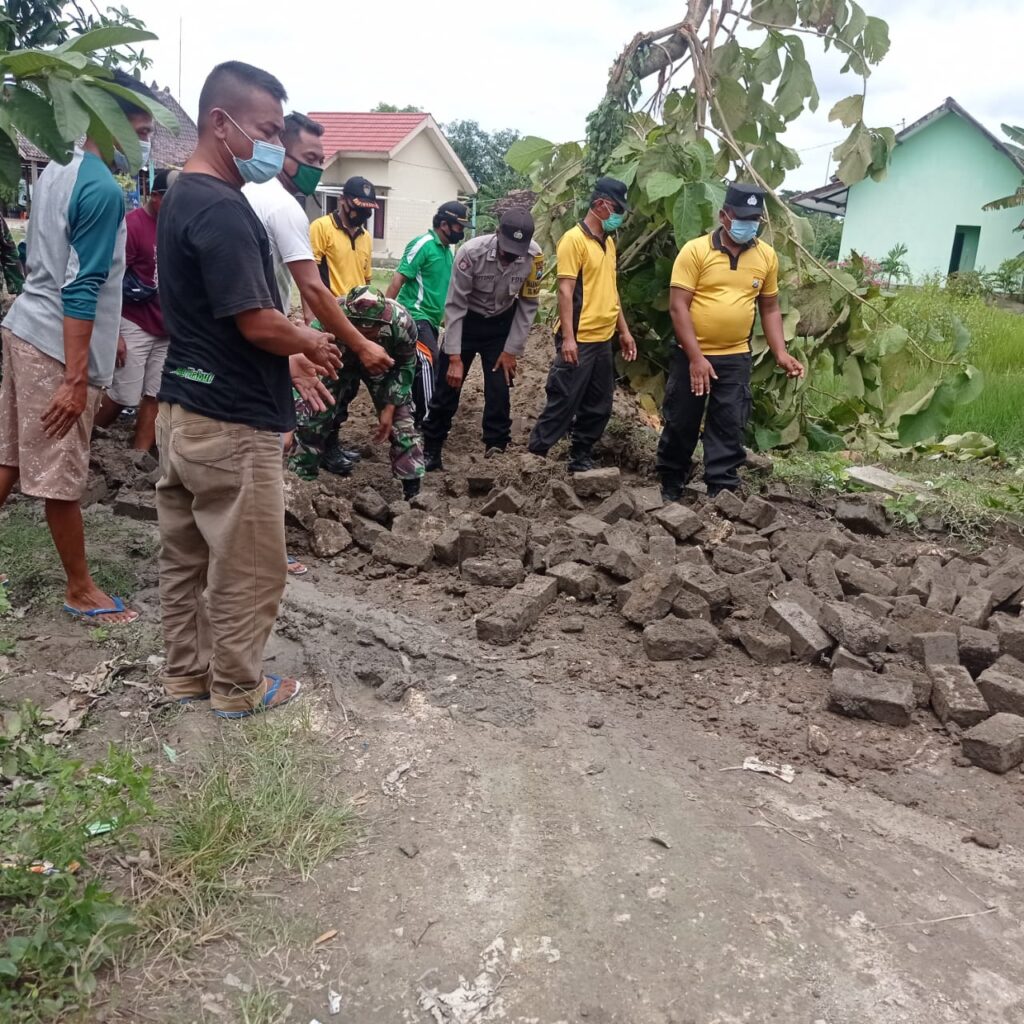 WhatsApp Image 2021-03-05 at 08.51.57