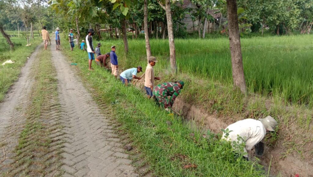 WhatsApp Image 2021-03-05 at 09.00.38