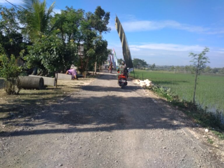 WhatsApp Image 2021-03-05 at 09.27.03