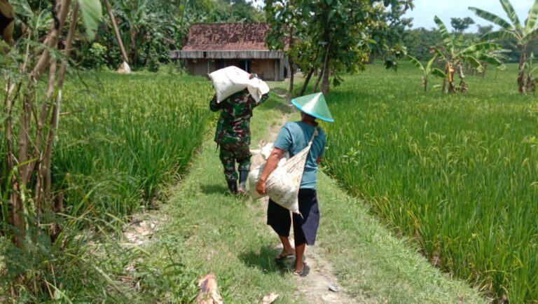 WhatsApp Image 2021-03-05 at 09.38.03