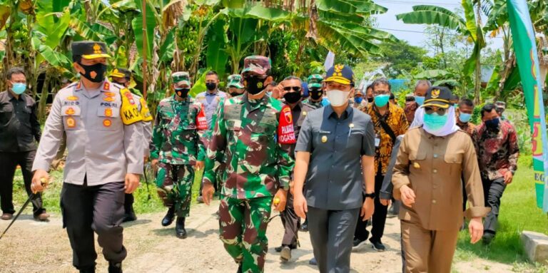 WhatsApp Image 2021-03-06 at 10.13.59