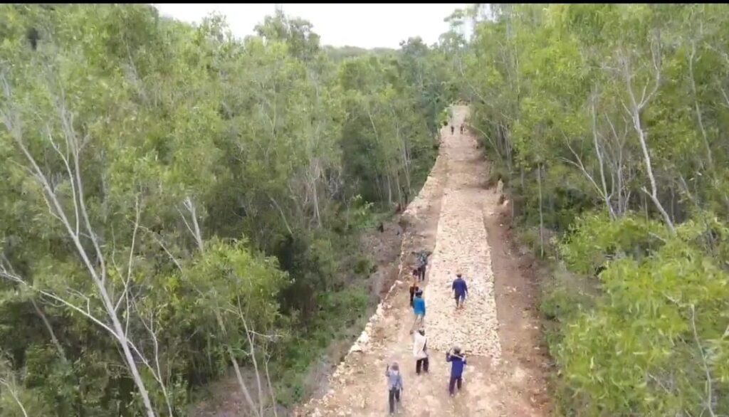 WhatsApp Image 2021-03-06 at 10.31.12(1)