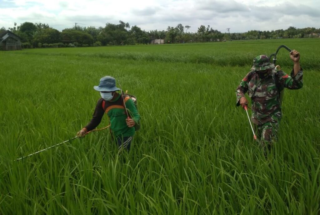 WhatsApp Image 2021-03-07 at 06.31.07