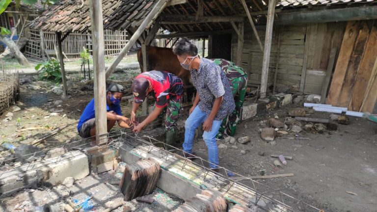 WhatsApp Image 2021-03-07 at 06.50.33