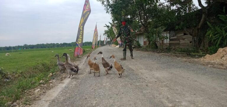 WhatsApp Image 2021-03-07 at 07.10.22