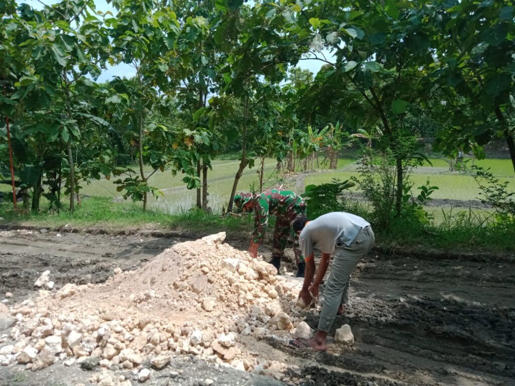 WhatsApp Image 2021-03-07 at 07.51.20