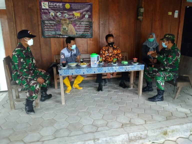 WhatsApp Image 2021-03-07 at 07.55.47