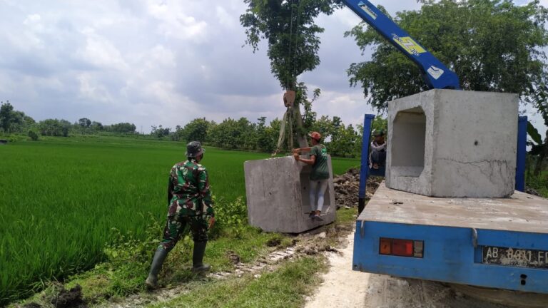 WhatsApp Image 2021-03-07 at 07.58.31