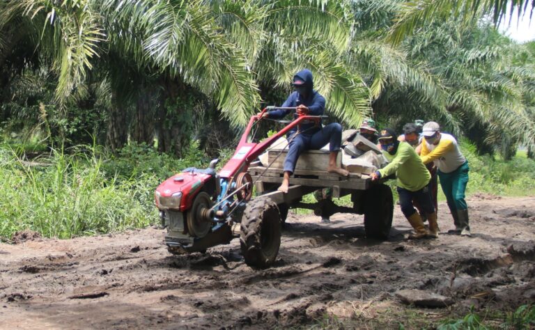 WhatsApp Image 2021-03-07 at 23.42.59