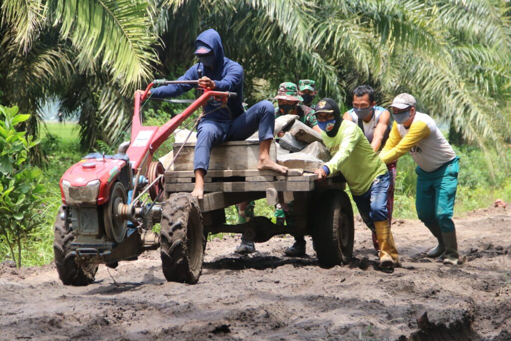 WhatsApp Image 2021-03-07 at 23.44.31