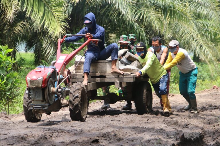 WhatsApp Image 2021-03-07 at 23.44.31