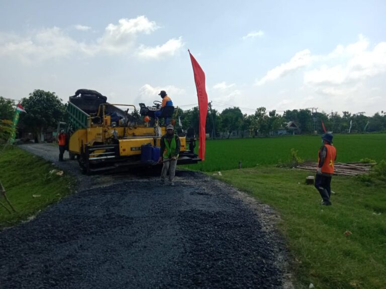 WhatsApp Image 2021-03-08 at 08.46.32