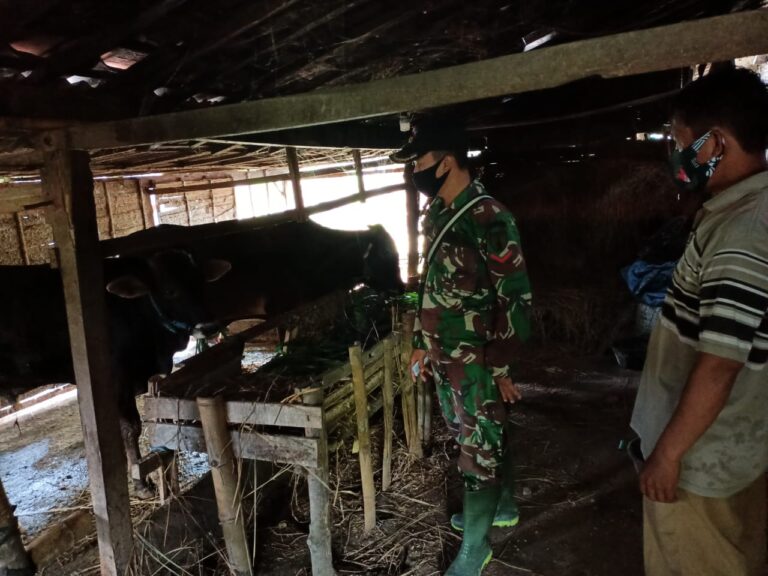 WhatsApp Image 2021-03-08 at 09.34.06