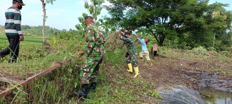 WhatsApp Image 2021-03-08 at 09.40.25