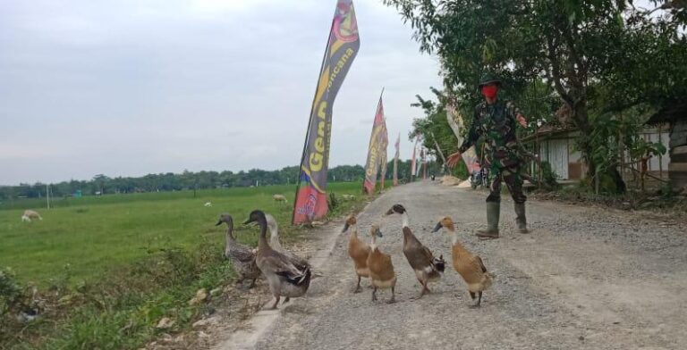 WhatsApp Image 2021-03-08 at 09.47.36