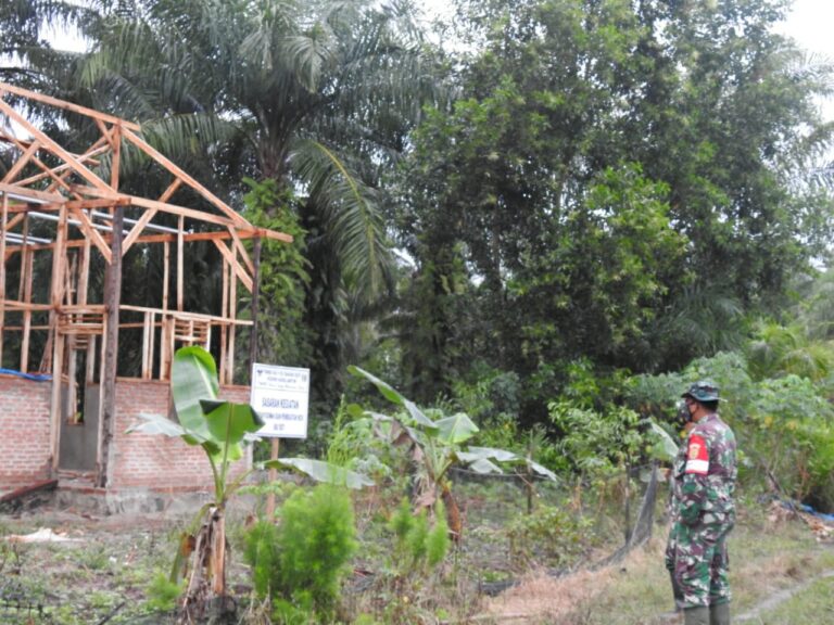 WhatsApp Image 2021-03-08 at 23.02.54