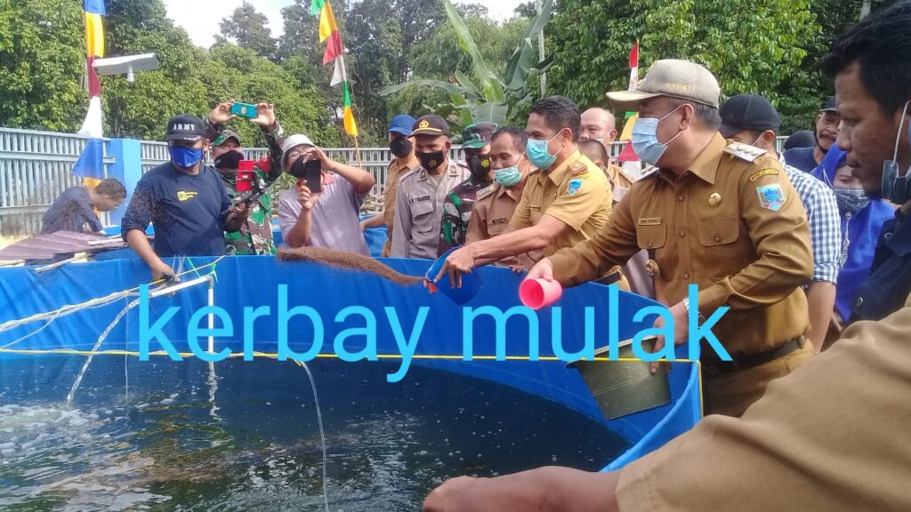 WhatsApp Image 2021-03-09 at 02.13.19