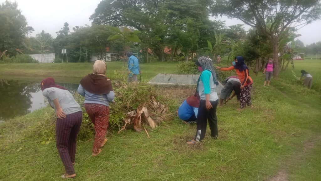 WhatsApp Image 2021-03-09 at 12.26.08