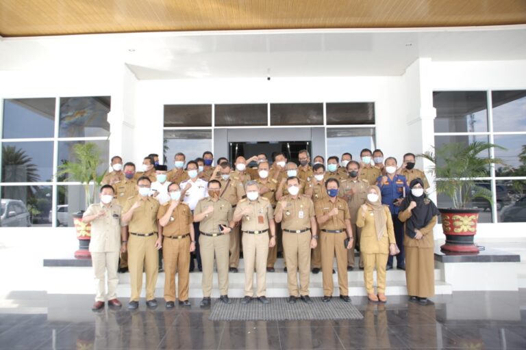 WhatsApp Image 2021-03-09 at 17.24.47