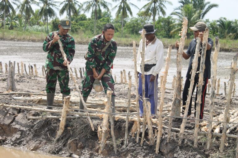 WhatsApp Image 2021-03-09 at 18.16.43