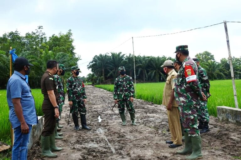 WhatsApp Image 2021-03-09 at 20.13.49