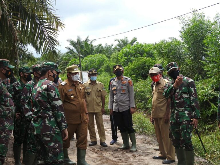 WhatsApp Image 2021-03-09 at 20.14.02