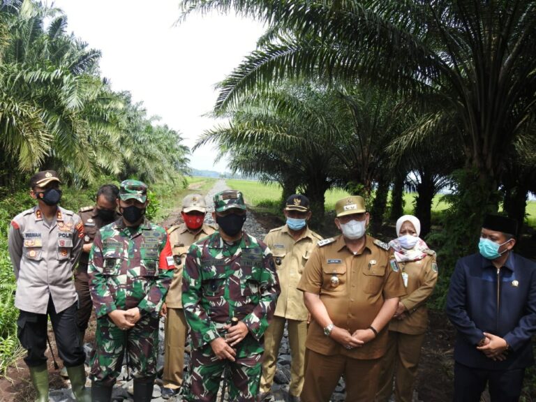 WhatsApp Image 2021-03-09 at 20.14.14