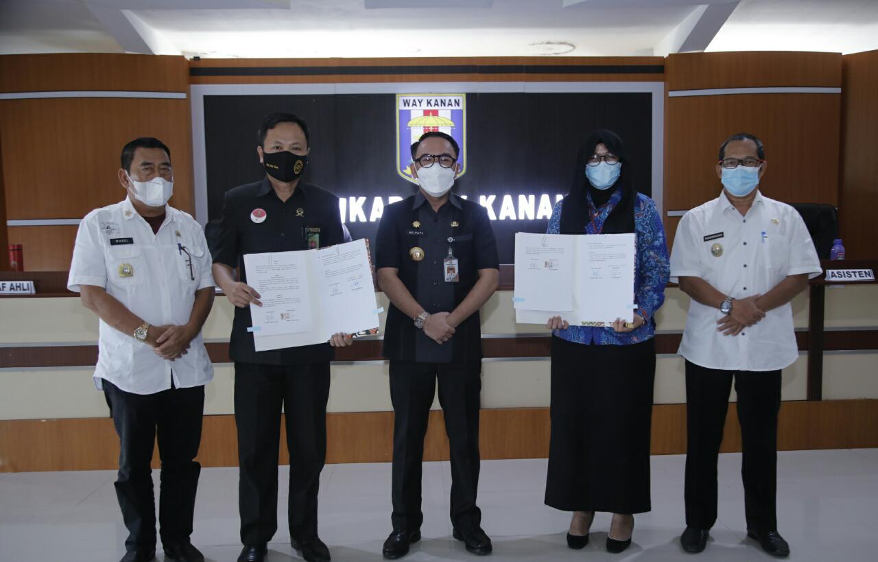 WhatsApp Image 2021-03-10 at 01.14.56