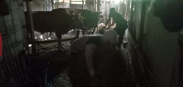 WhatsApp Image 2021-03-10 at 14.20.02