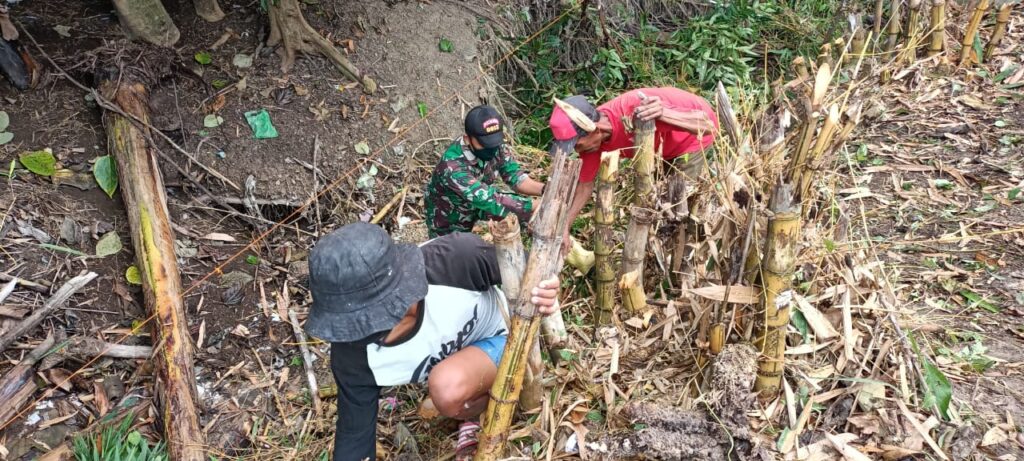 WhatsApp Image 2021-03-10 at 14.25.29