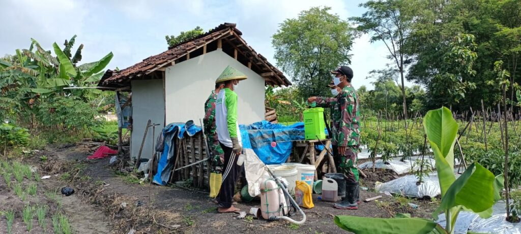 WhatsApp Image 2021-03-10 at 14.26.08