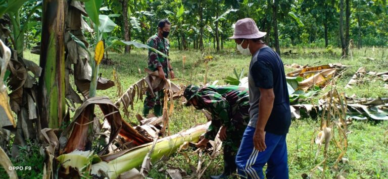 WhatsApp Image 2021-03-11 at 08.30.37