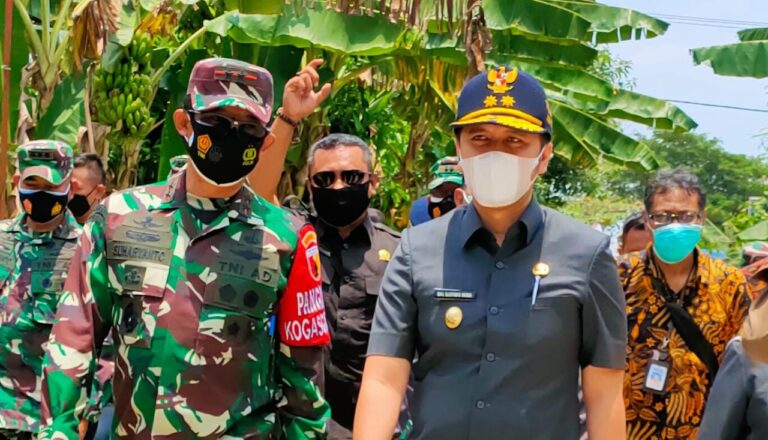 WhatsApp Image 2021-03-11 at 08.35.40