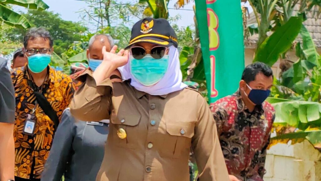 WhatsApp Image 2021-03-11 at 08.36.03