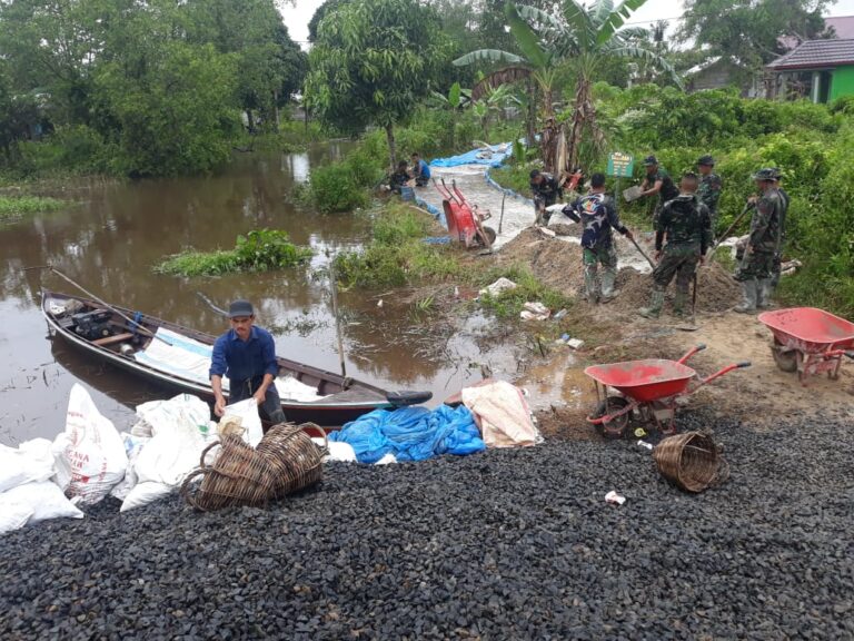 WhatsApp Image 2021-03-11 at 13.14.43