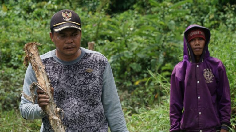 WhatsApp Image 2021-03-11 at 13.15.10